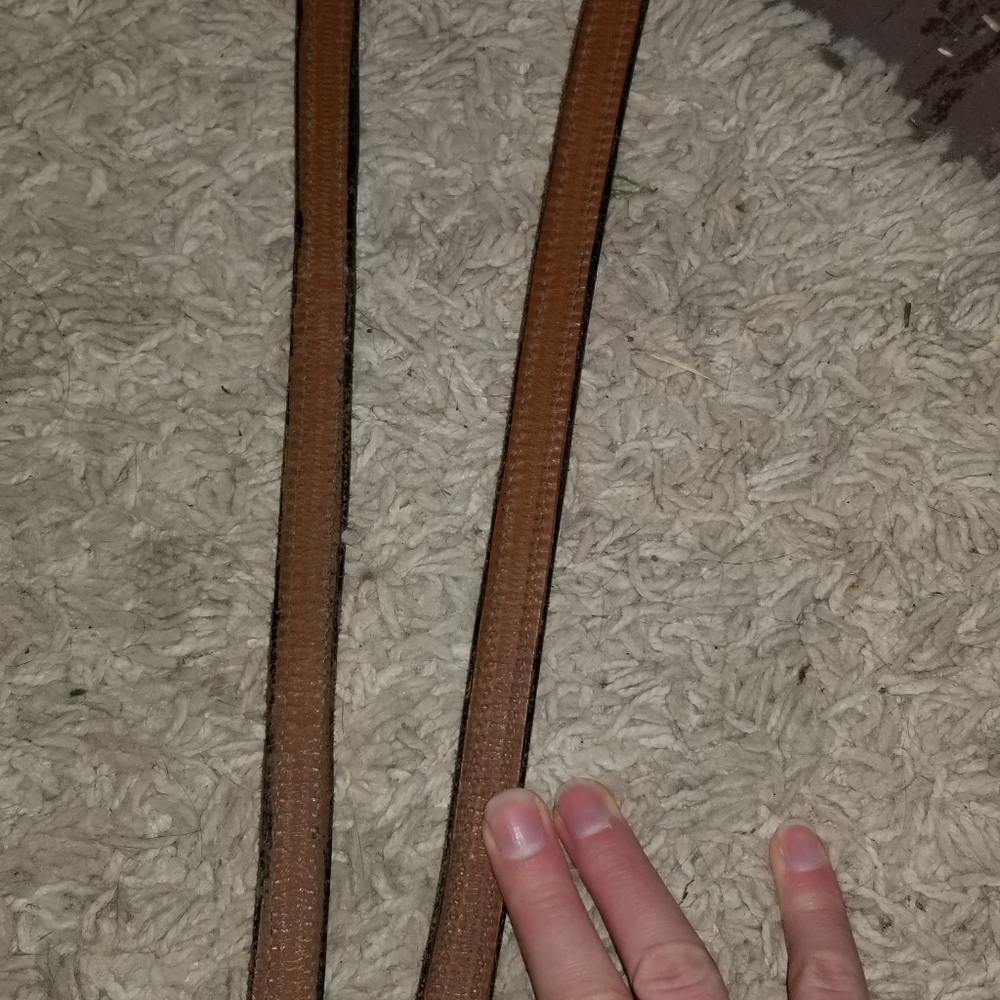 Reins - Picture 4 of 8